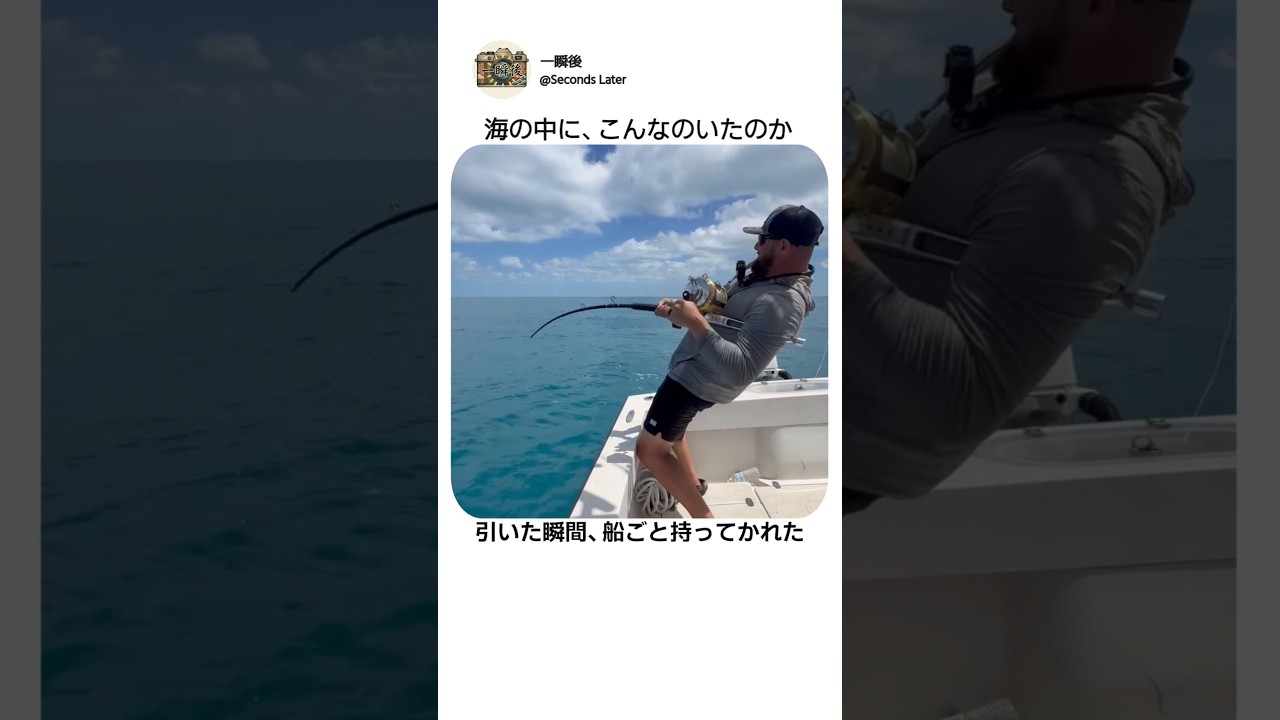見てるだけで、サイズ感おかしくなる