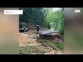 Autos cruzan golpe de agua en carretera colapsada de Utuado