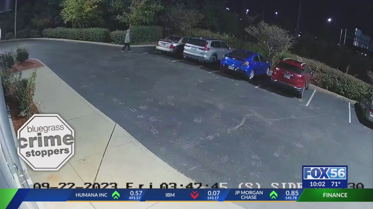 Police looking to identify thieves who stole guns from cars in ...