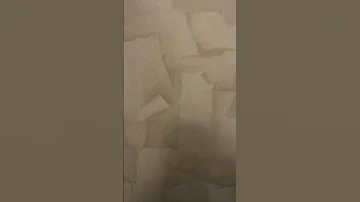 فضيحة ادم بنشقرون 