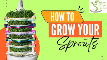 Updated Super Simple Sprout AutoSprouter Instruction