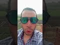 سيمفونية الوداع الشاعر محمد فتحي السباعي 