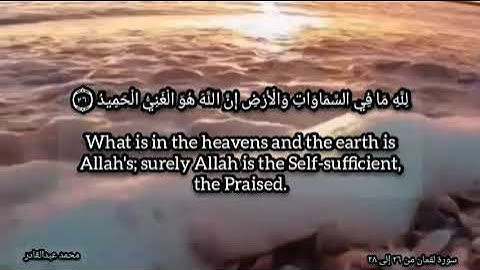 Surah Luqman (26-28) || سورة لقمان