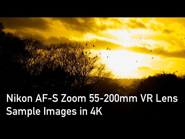 Nikon AF-S DX VR Nikkor 55-200mm f/4-5.6G Lens Sample Images in 4K