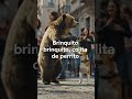 brinquito brinquito, colita de perrito. ¿quien baila mejor?. #vargasmusic