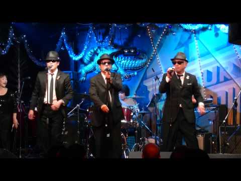 [1080p] THE ZUROUS BROTHERS in WINTER LIVE 2011