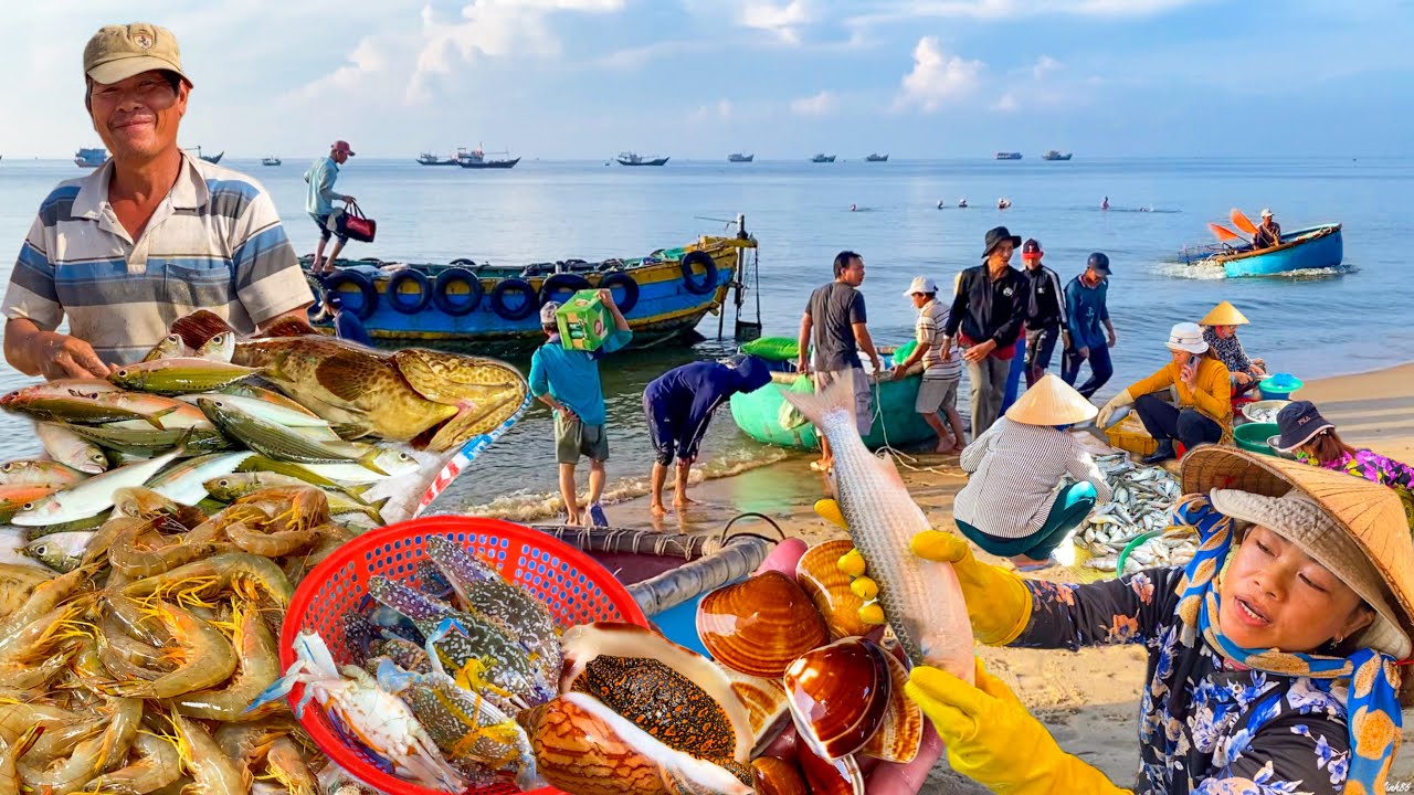 Bãi Ngang Dài Nhất Huyện Đất Đỏ | Chợ Phước Hải Toàn Hải Sản Tươi Ngon