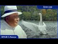 MUAJ Batsukh Hunt Nuur 1989 On МУАЖ Батсүх Хунт нуур 1989 он MUAJ Batsukh Hunt Nuur 1989 On МУАЖ Батсүх Хунт нуур 1989 он