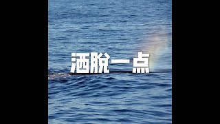 201604 洒脱一点21742