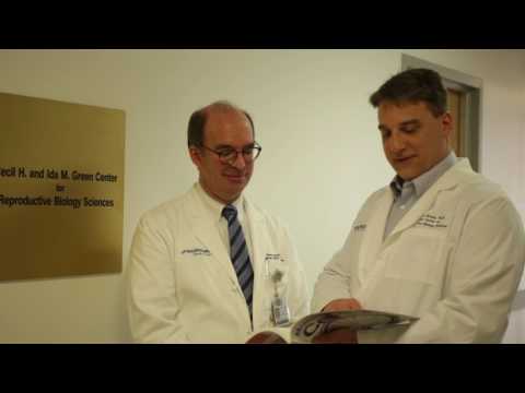 Redefining Reproductive Biology