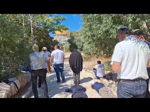סליחות בהר הבית! מה שהיה בגדר חלום הפך לשגרה מרגשת