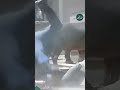 لما حد يهددني دلوقتي