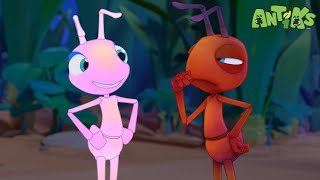 Glowing Nowhere | Antiks 🐜 | Funny Cartoons for Kids