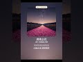 凋零之花 | 情感音乐混合 🎵 回忆往事