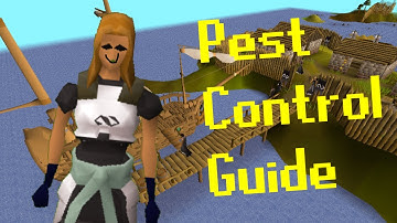 A Lazy Skillers Guide to Pest Control