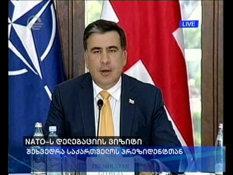 NATO-ს დელეგაციის შეხვედრა მიხეილ სააკაშვილთან