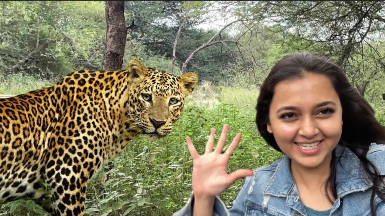 FULL DAY Spend at Safari Park| Fun Time With Nature