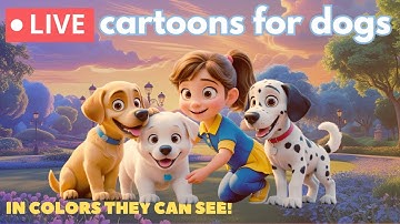 🐶 Cartoons for Dogs TV, LIVE 24/7 🎵 | Colors they can see, Calm Music | Bluey, Luna & Friends