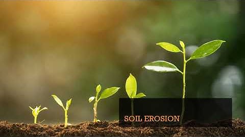 4TH STANDARD/ GENERAL SCIENCE/ CHAPTER 12 /SOIL EROSION/ VIDEO 36
