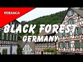 BLACK FOREST TRAVELOGUE: This fantastic picturesque region from south to north, with commentary.