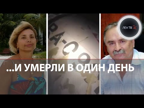 Самолет с россиянами разбился в Афганистане: бизнесмен и его жена погибли, экипаж выжил