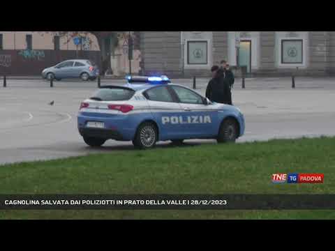 CAGNOLINA SALVATA DAI POLIZIOTTI IN PRATO DELLA VALLE | 28/12/2023