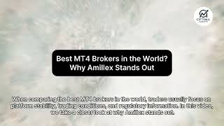 Best MT4 Brokers in the World? Why Amillex Stands Out