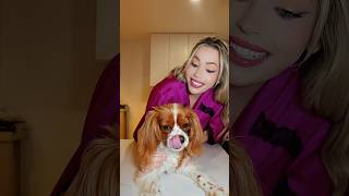 Baby Chip Likes To Vibe