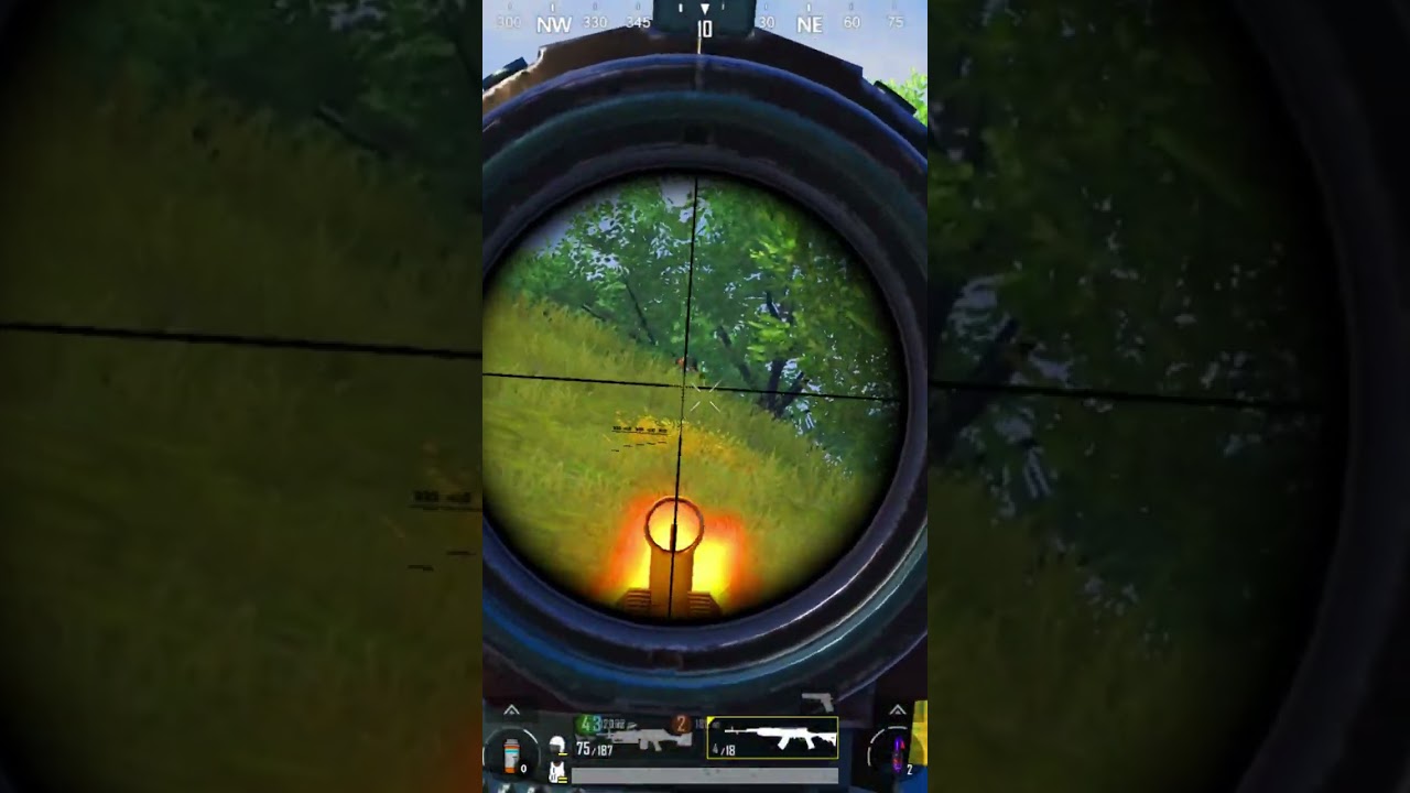 1V1 SKS No Recoil 