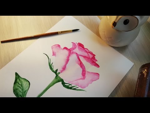 🌷How to draw a rose in watercolor?🌷 (Как нарисовать розу акварелью?)