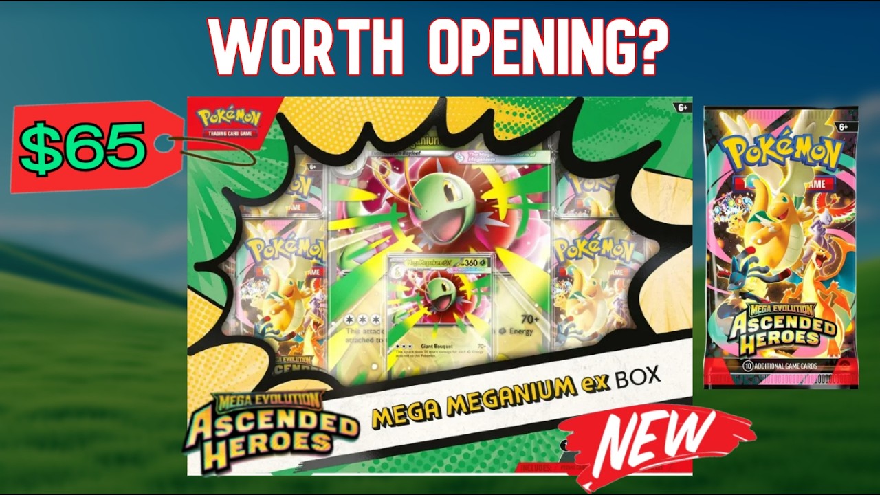 Is the Ascended Heroes Mega Meganium ex Box Worth Buying? (Pokemon