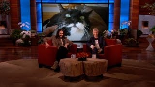 Russell Brand's Cat Video