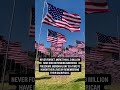 Memorial Day honors the brave Americans who gave their lives defending freedom and the values tha...