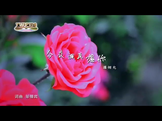 JIN YE GE ZAI XIANG NI - FELICIA LOW (MUSIK MANDARIN CHANNEL) class=