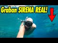 Graban SIRENA REAL ATACA a BUZO | Laguna Negra