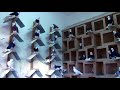 Голуби Касымова.  Местные летно-игровые голуби ( pigeons), 🕊 Худжанд , Таджикистан 2021г.