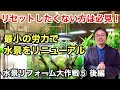 崩壊しかけの水草水槽を復活させる方法〜水景リフォーム大作戦【 その⑤・後編】 前景草石組み草原風レイアウトのウォーターローントリミング、組織培養水草植栽、ADAネイチャーアクアリウム立ち上げ初心者