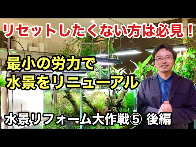 崩壊しかけの水草水槽を復活させる方法〜水景リフォーム大作戦【 その