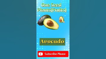 SOF Olympiad for class 1| plants Seed #shorts #shortsfeed #shortsyoutube