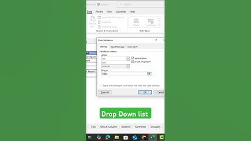 Advance excel II dropdown list #foryou #exceleducation