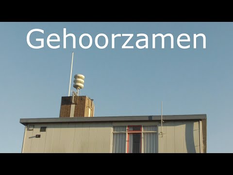 Video: Wat zijn de voordelen van gehoorzaamheid?