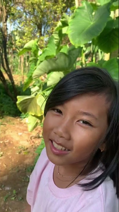 Story wa Asmara hancur | midua cinta #shorts #story #storywa #status