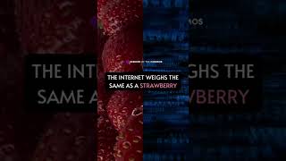 The Internet Weight Same As A Strawberry