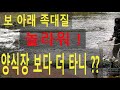 놀라워 ! 보 아래 족대질  양식장 보다 고기가 많다니 ???천렵 물고기 잡이