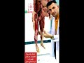 شاهد أفضل شرح على الجثث الحقيقية لمادة التشريح العملي كلية الطب Anatomy أطراف سفلى 