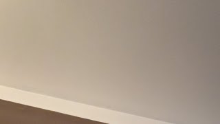 XCON JOHN is live!