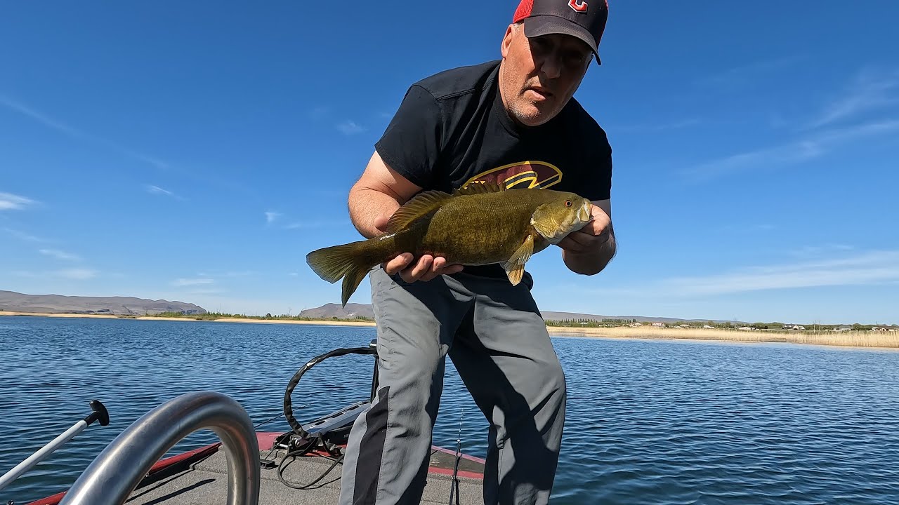 Columbia River Spring Bass Fishing. #pnwbassfishing #washingtonbassfishing #bassfishing