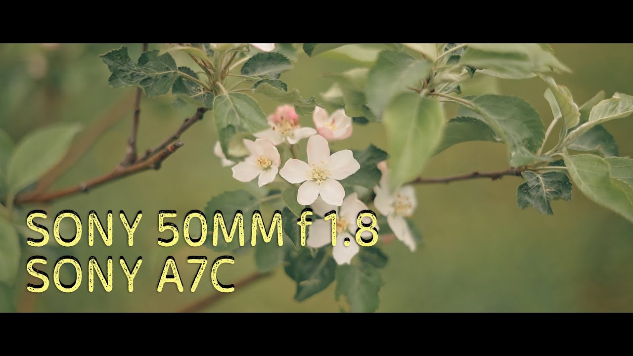 Про Sony 50mm f1.8 и Sony A7C, cinematic