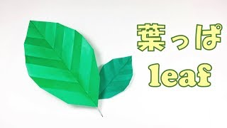 折り紙  簡単！ 葉っぱの折り方 / Origami easy! How to fold the origami leaf step by step [tutorial] screenshot 2