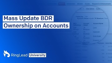 Mass Update BDR Ownership on Accounts in Salesforce